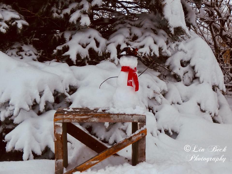Winter Wonderland